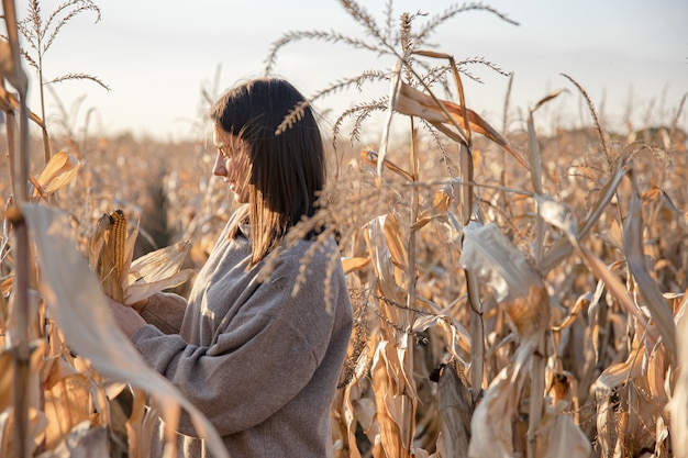 Cheerful young woman in a cornfield in autumn