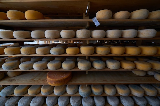 Cheese factory production shelves with aging old cheese local organic empty