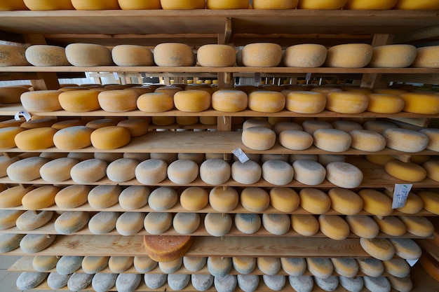 Cheese factory production shelves with aging old cheese local organic empty