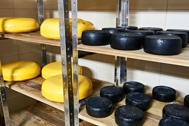 Cheese factory warehouse with shelves of product capretto and latteria