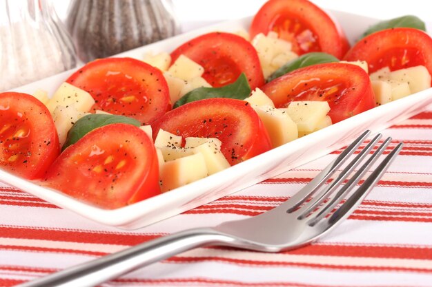 Cheese mozzarella with vegetables in plate on table