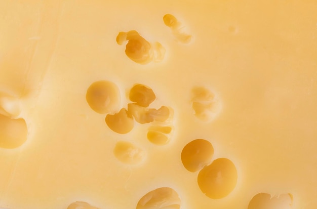 Cheese texture with large holesPiece of cheese isolated