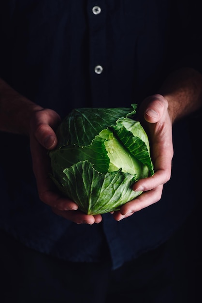 Chef is Holding Small White Cabbage in Hands