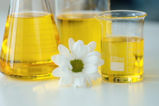 Chemical flasks with yellow cosmetic oil standing near white chamomile flower closeup