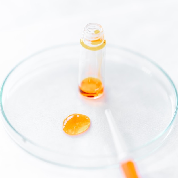 Chemical sample in a research laboratory on a Petri glass dish