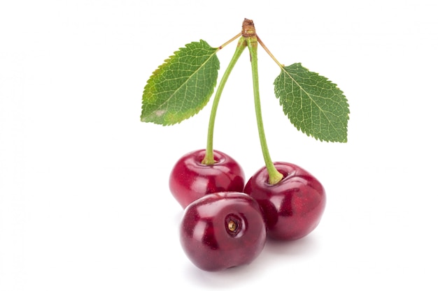 Cherries isolated on white background