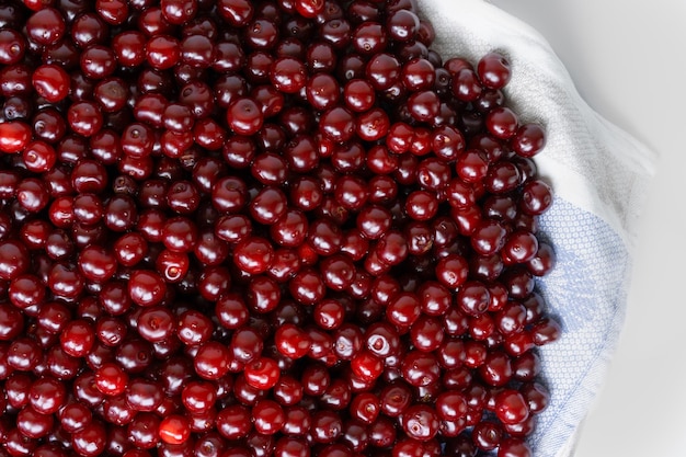 Cherries on a tray on a white background