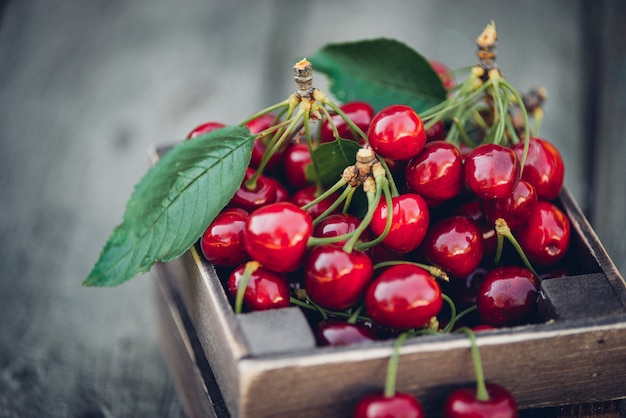 Cherries with leaves in vintage wooden box on rustic wooden table.