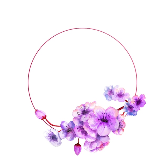 Cherry blossom cherry blossom branch with bright lilac flowers on a geometric frame on an isolated w...