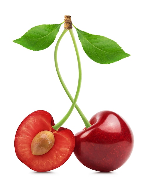 Cherry isolated Ripe sweet cherry and half cherry