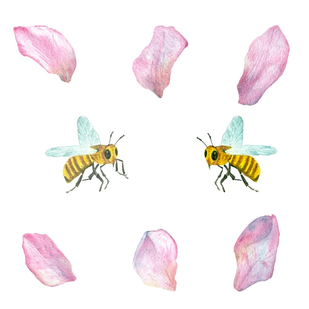 Cherry petals apples peach with two bees watercolor illustration