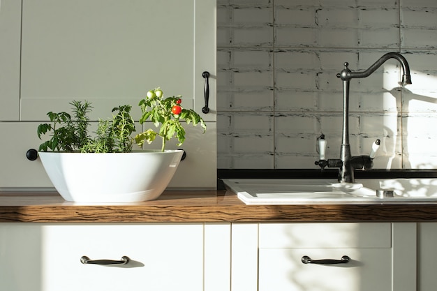 Cherry tomatoes and rosemary grown in a pot in a home vegetable garden in the white kitchen i