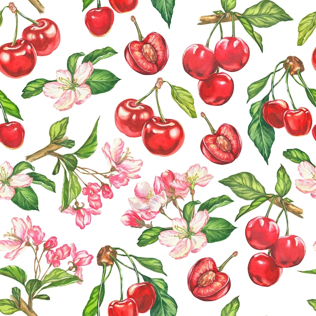 Cherry watercolor botanical illustration cherry and cherry blossoms design pattern