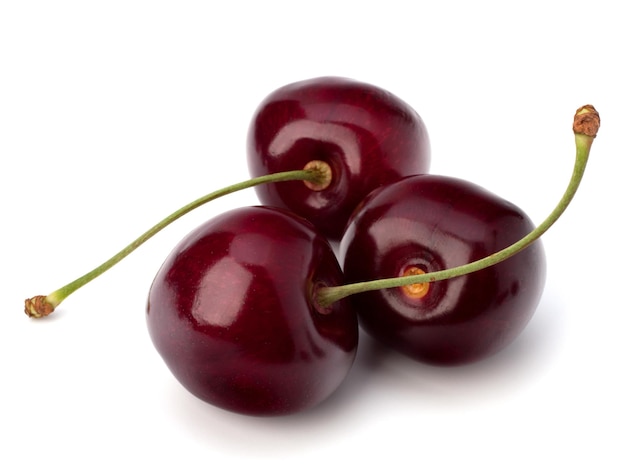 Cherry