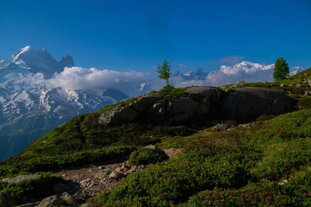 Cheserysargentierechamonixhaute savoiefrance