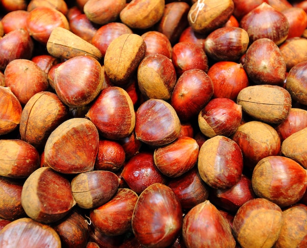 Chestnut