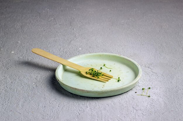 Chia microgreens close up Sprouts on a plate diet idea selective focus