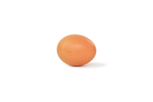 Chicken brown egg on white