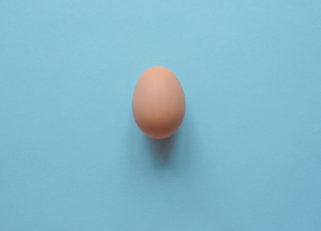 Chicken egg on a blue background.