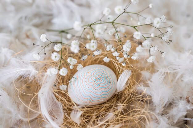 Chicken egg on hay near plant twig between heap of quills