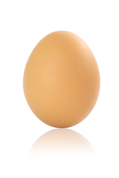 Chicken egg isolated on white background