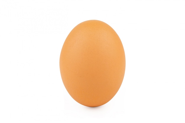 Chicken egg on white wall
