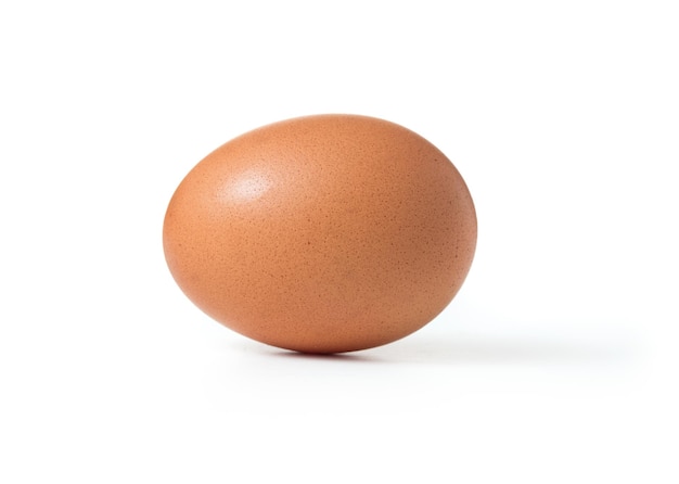 Chicken egg