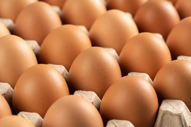 Chicken eggs in cardboard