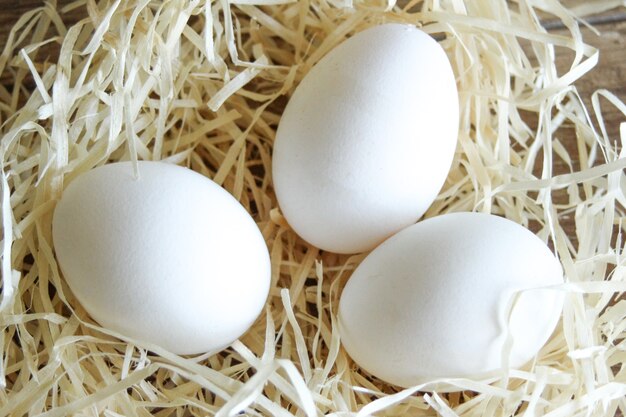 Chicken eggs close-up