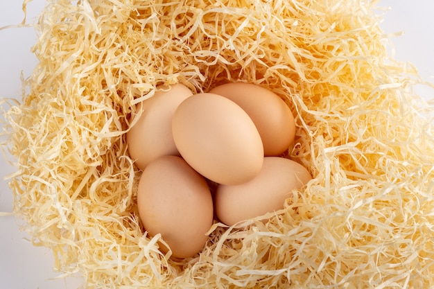 Chicken eggs in the nest