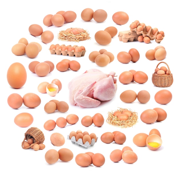 Chicken and eggs on white background