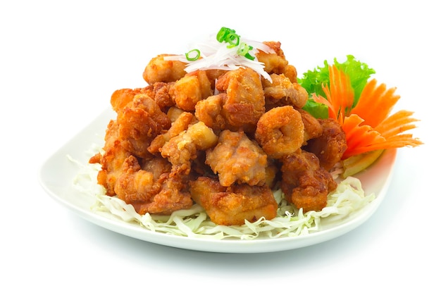 Chicken Karaage Japanese Fried Chicken ontop Onion and Spring onions