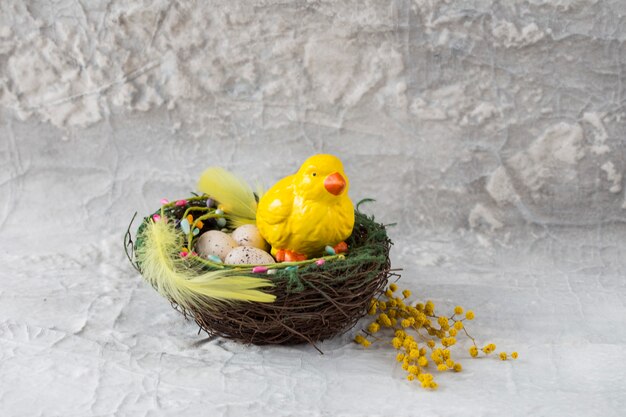 chicken sits in a nest with eggs, feathers and mimosa - Easter card 