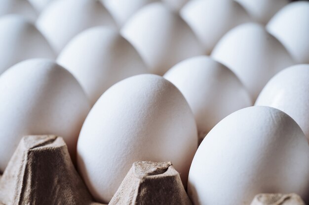 Chicken white eggs closeup. Farm products and natural eggs in a carton tray.