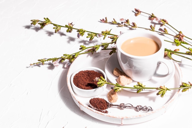 Chicory coffee with fresh flowers and powder. Natural caffeine-free drink in a white cup. Alternative replacement for coffee, caffeine. White plaster background, copy space