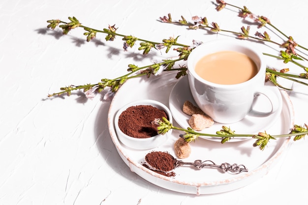 Chicory coffee with fresh flowers and powder. Natural caffeine-free drink in a white cup. Alternative replacement for coffee, caffeine. White plaster background, copy space