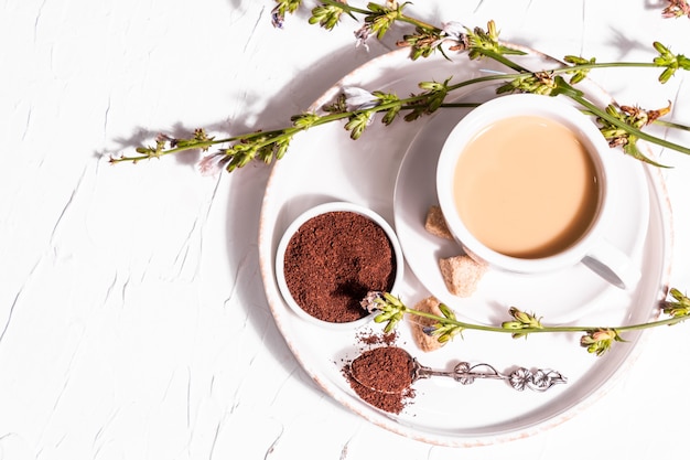 Chicory coffee with fresh flowers and powder. Natural caffeine-free drink in a white cup. Alternative replacement for coffee, caffeine. White plaster background, top view