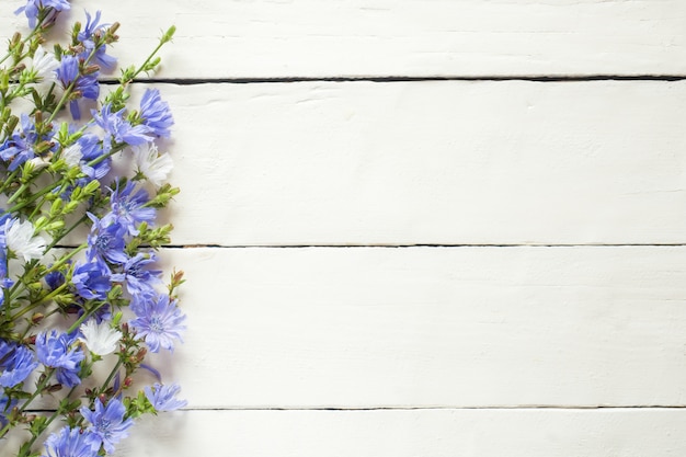 Chicory flowers on white wood