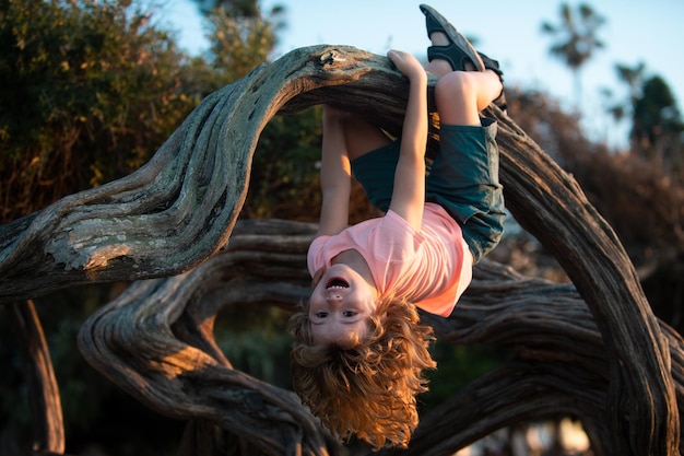 Child boy in park, climb on a tree rope.