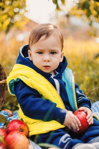 Child boy sitting in apple farming garden Little lifestyle kid in garderning farm