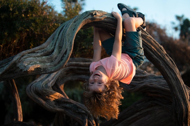 Child climbing tree cute kid climbing the tree in the park happy childhood concept