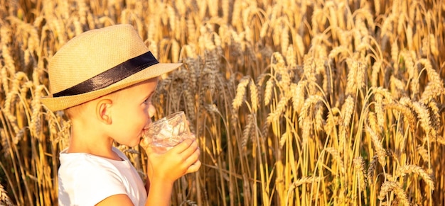 A child drinks water on the background of the field