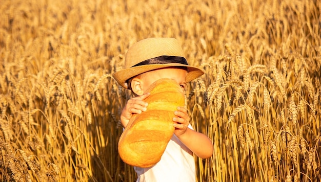 Child eating a loaf in a wheat field. Selective focus