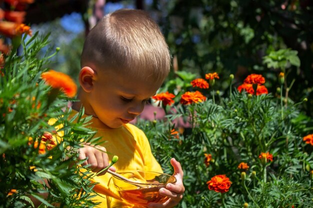 Child eats honey in the garden. Nature