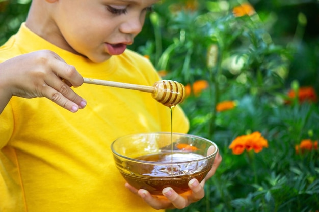 Child eats honey in the garden. Nature