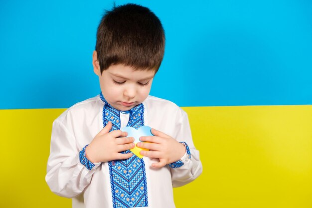 A child in an embroidered shirt against the background of the flag of Ukraine