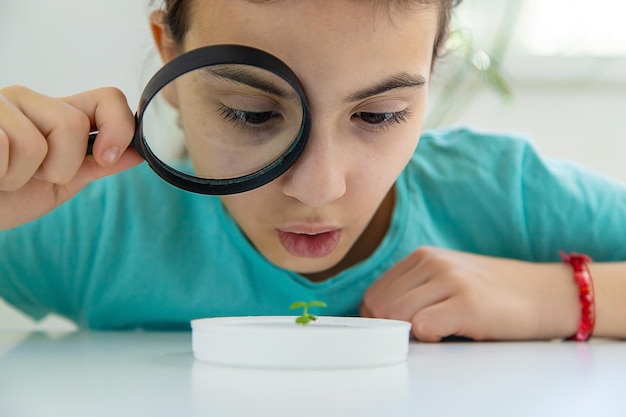 A child examines a plant under a magnifying glass Selective focus