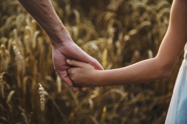 Child and father in a wheat field. Selective focus. Nature,