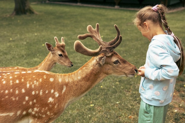 Child feeding wild deer at outdoor safari park Little girl watching reindeer on a farm Kid and pet animal Family summer trip to zoological garden