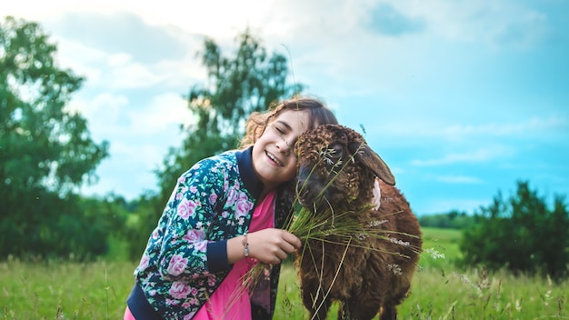 A child feeds a sheep in a meadow